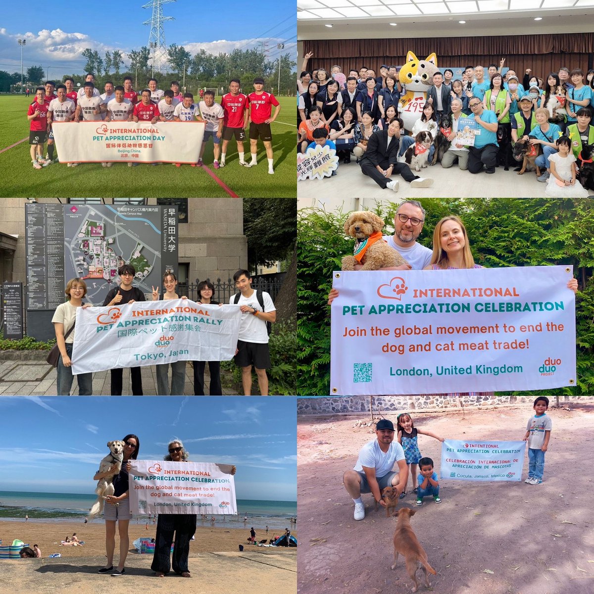 StopEatingDogs_'s tweet photo. International #PetAppreciation Celebrations happened in 10 cities around the world: Beijing, Taipei, Tokyo, London, Cocula, Guadalajara, Lo de Marcos, San Diego, Sunnyvale, & San Francisco ❤️🐾
#EndDogAndCatMeatTrade #StopYulinFestival #DuoDuoProject https://t.co/tjMaKPJq4H