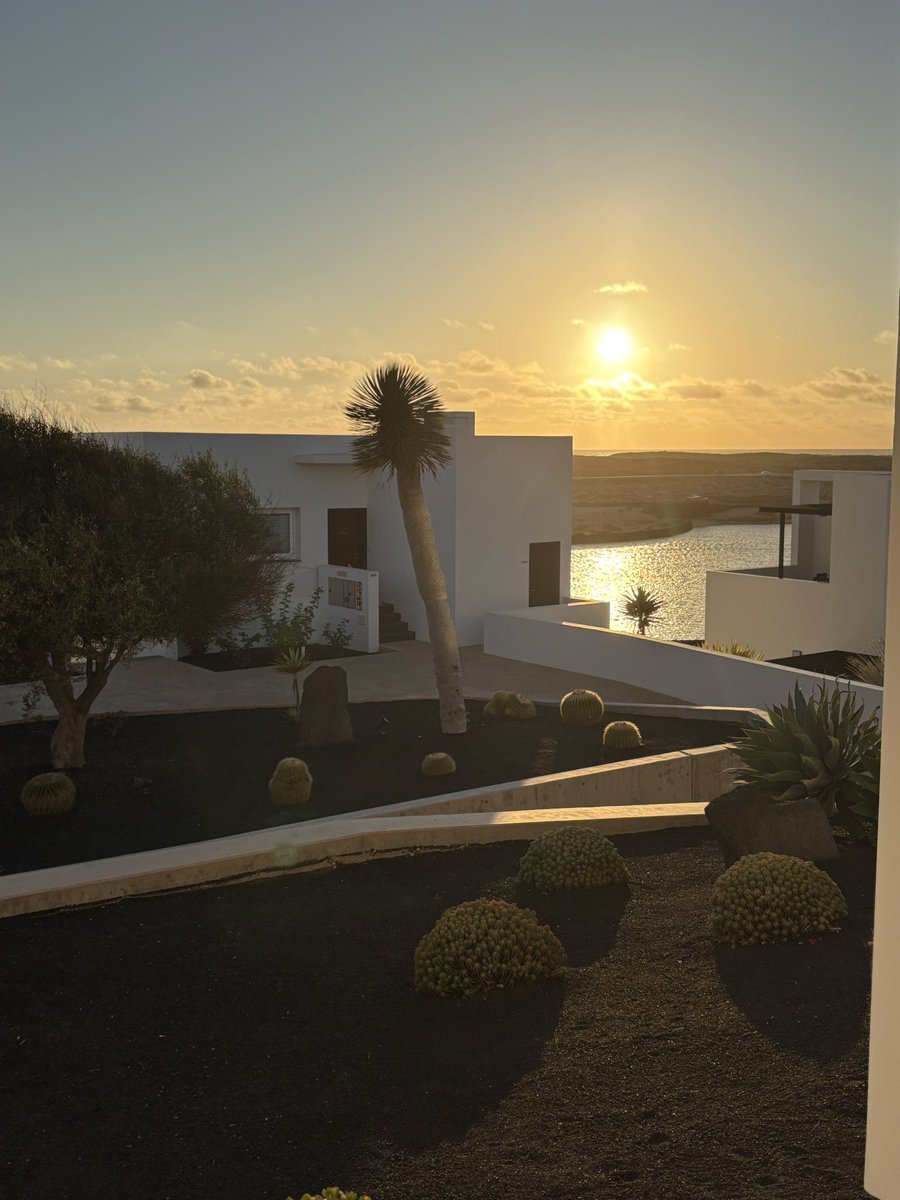 Gn from Lanzarote 🫶