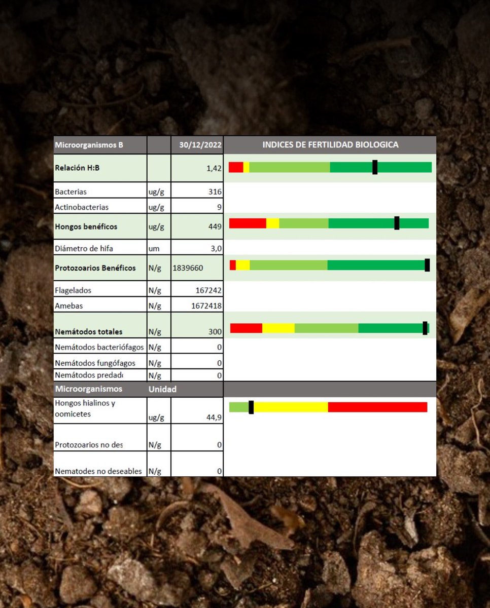 soseibioag's tweet photo. 🌱 𝗖𝗼𝗺𝗽𝗼𝘀𝘁 𝗾𝘂𝗲 𝘁𝗿𝗮𝗻𝘀𝗳𝗼𝗿𝗺𝗮

Así luce un excelente Compost tipo Johnson-SU: con altísimas poblaciones de hongos benéficos y una cadena trófica del suelo completa.

Una verdadera muestra de economía circular. https://t.co/AxD7a4CZk5