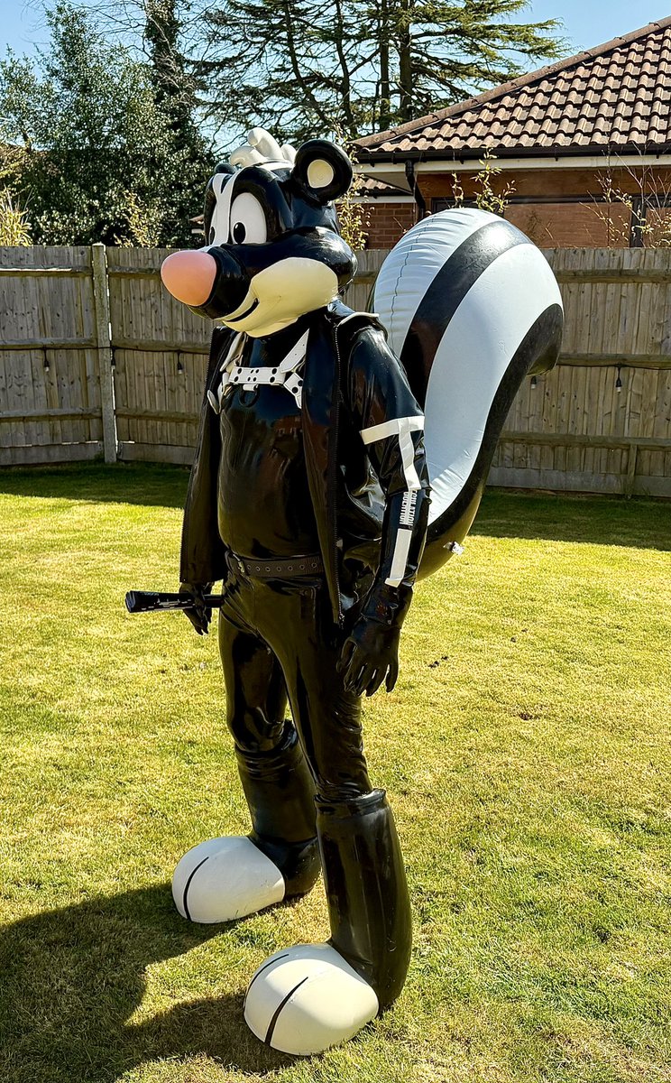 Polytherian's tweet image. FOR SALE bsky.app/profile/theria… - now I have a rubber version, I am selling one of the two PVC inflatable tails, the second one was never worn in the end - it’s up for auction on my blue sky with an autobuy option. Very rare and I made the harness clips and belt loops.