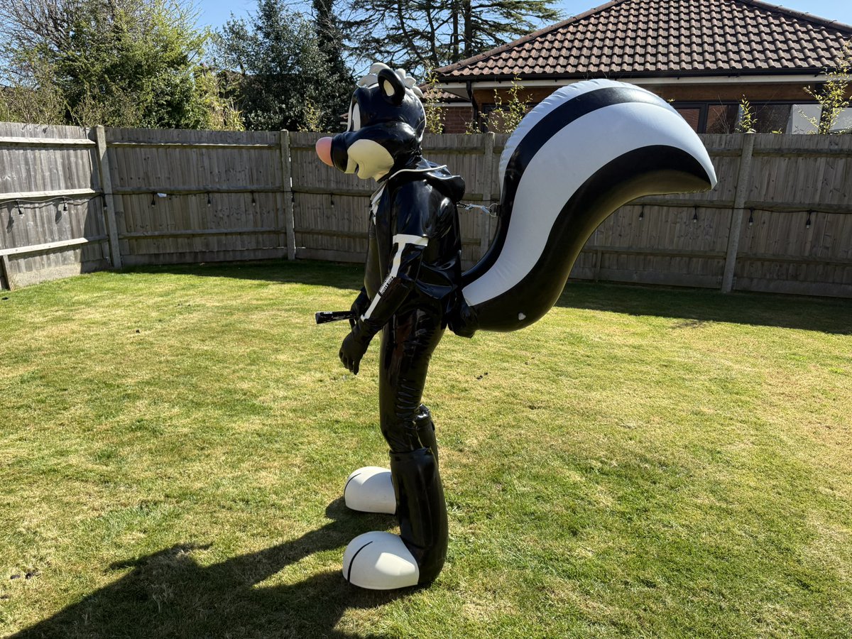 Polytherian's tweet image. FOR SALE bsky.app/profile/theria… - now I have a rubber version, I am selling one of the two PVC inflatable tails, the second one was never worn in the end - it’s up for auction on my blue sky with an autobuy option. Very rare and I made the harness clips and belt loops.