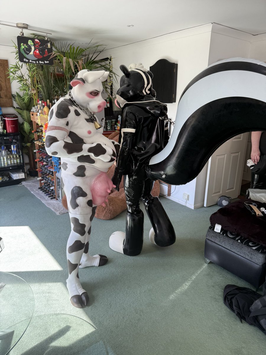 Polytherian's tweet image. FOR SALE bsky.app/profile/theria… - now I have a rubber version, I am selling one of the two PVC inflatable tails, the second one was never worn in the end - it’s up for auction on my blue sky with an autobuy option. Very rare and I made the harness clips and belt loops.