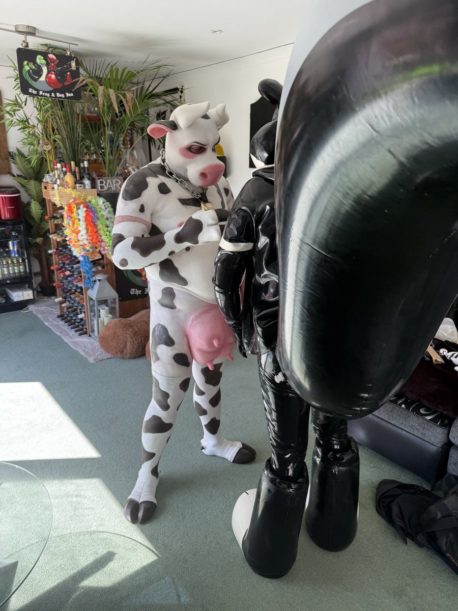 Polytherian's tweet image. FOR SALE bsky.app/profile/theria… - now I have a rubber version, I am selling one of the two PVC inflatable tails, the second one was never worn in the end - it’s up for auction on my blue sky with an autobuy option. Very rare and I made the harness clips and belt loops.