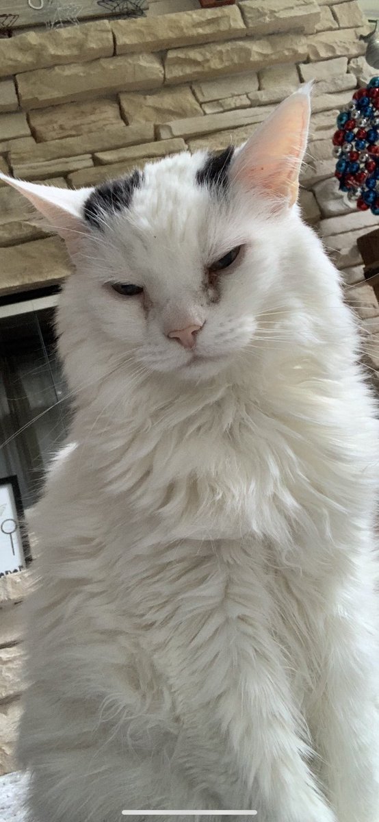 PowerGirth's tweet image. We lost the best man today. Rest in peace Moose.