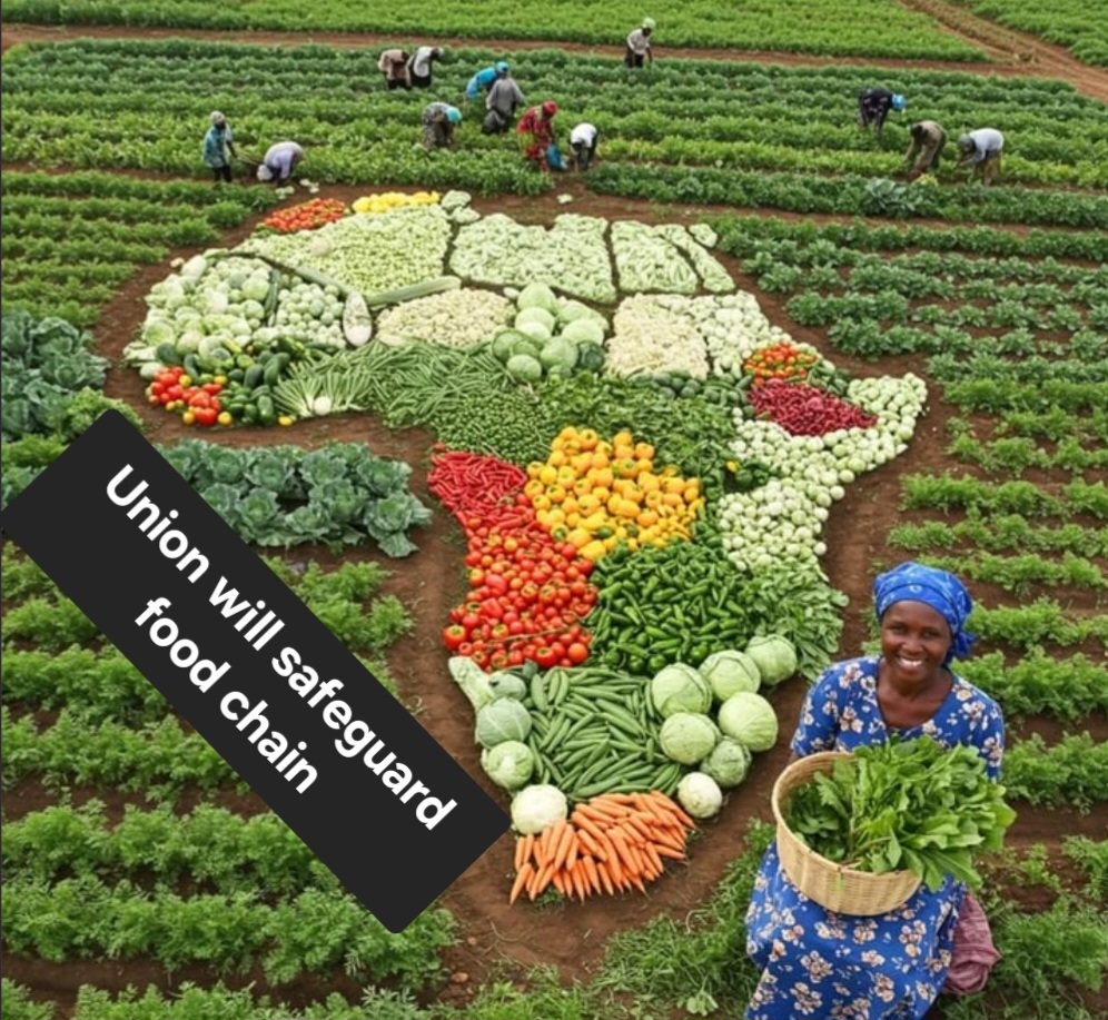STAYFOCUSED💱 (Ø,G) (@odunerd) on Twitter photo Union will go down in history as the words of the northerners who have the food chain always fresh and surplus, I mean decentralized the process just as it practicality in "Jos city somewhere in 🇳🇬"
--------
where every single transaction is done openly in a real-time experience. Union will go down in history as the words of the northerners who have the food chain always fresh and surplus, I mean decentralized the process just as it practicality in "Jos city somewhere in 🇳🇬"
--------
where every single transaction is done openly in a real-time experience.