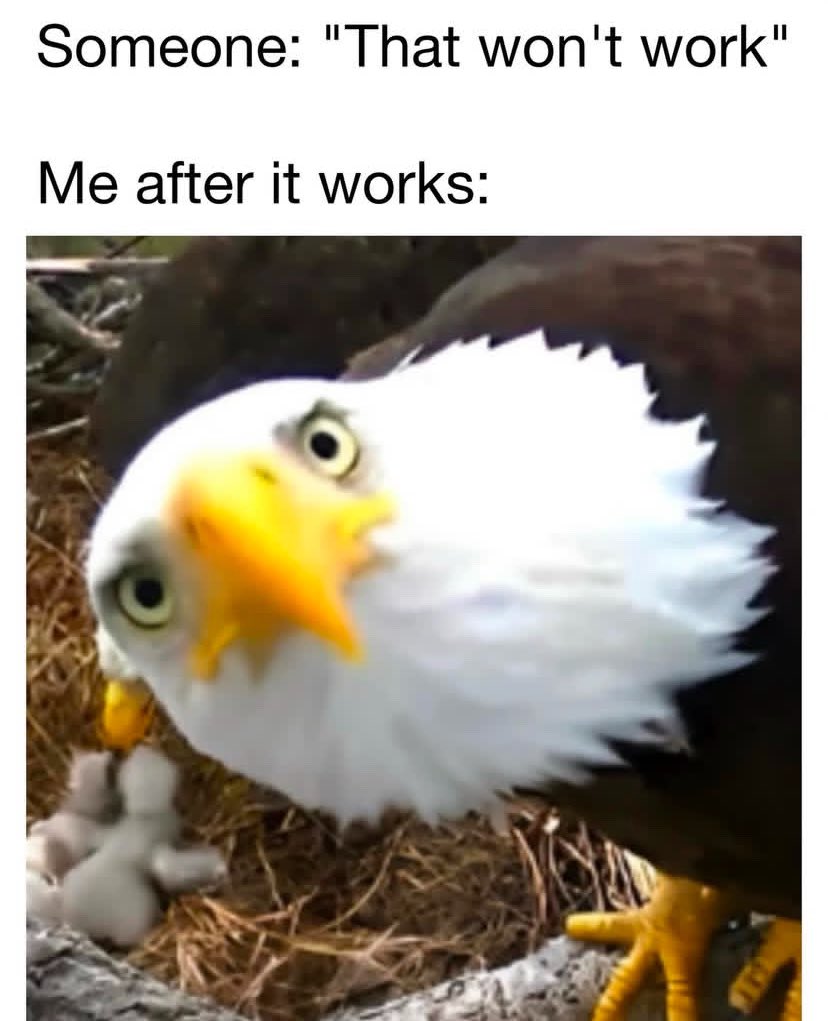 You know those moments when you’re playing a game and you think of an idea or plan and someone says that won’t work and you prove them wrong? Haha this #meme is perfect. Never underestimate a determined gamer. #gamer #game
