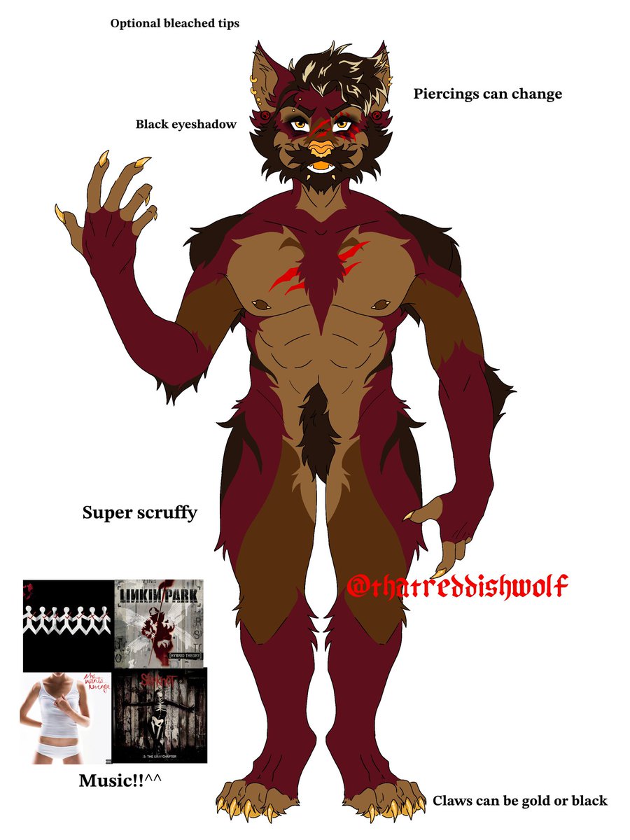 Winston🐺🌕🍁 tweet media