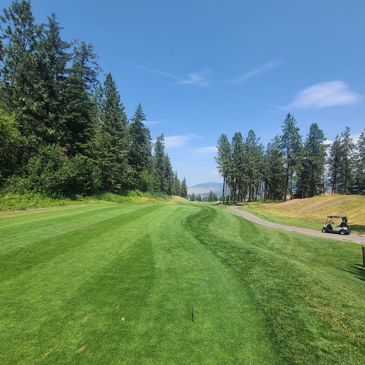 CGSA (@golfsupers) on Twitter photo Thank you to <a href="/TargetSpecCan/">Target Specialty Products π¨π¦</a> for your support of the Shamble. #summershamble25 Thank you to <a href="/TargetSpecCan/">Target Specialty Products π¨π¦</a> for your support of the Shamble. #summershamble25