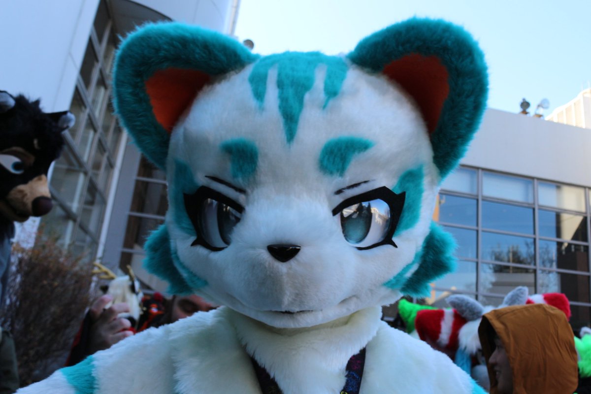 koimei2's tweet photo. @KrupppFamily #JMoF2025 https://t.co/fJVeQrSV5F