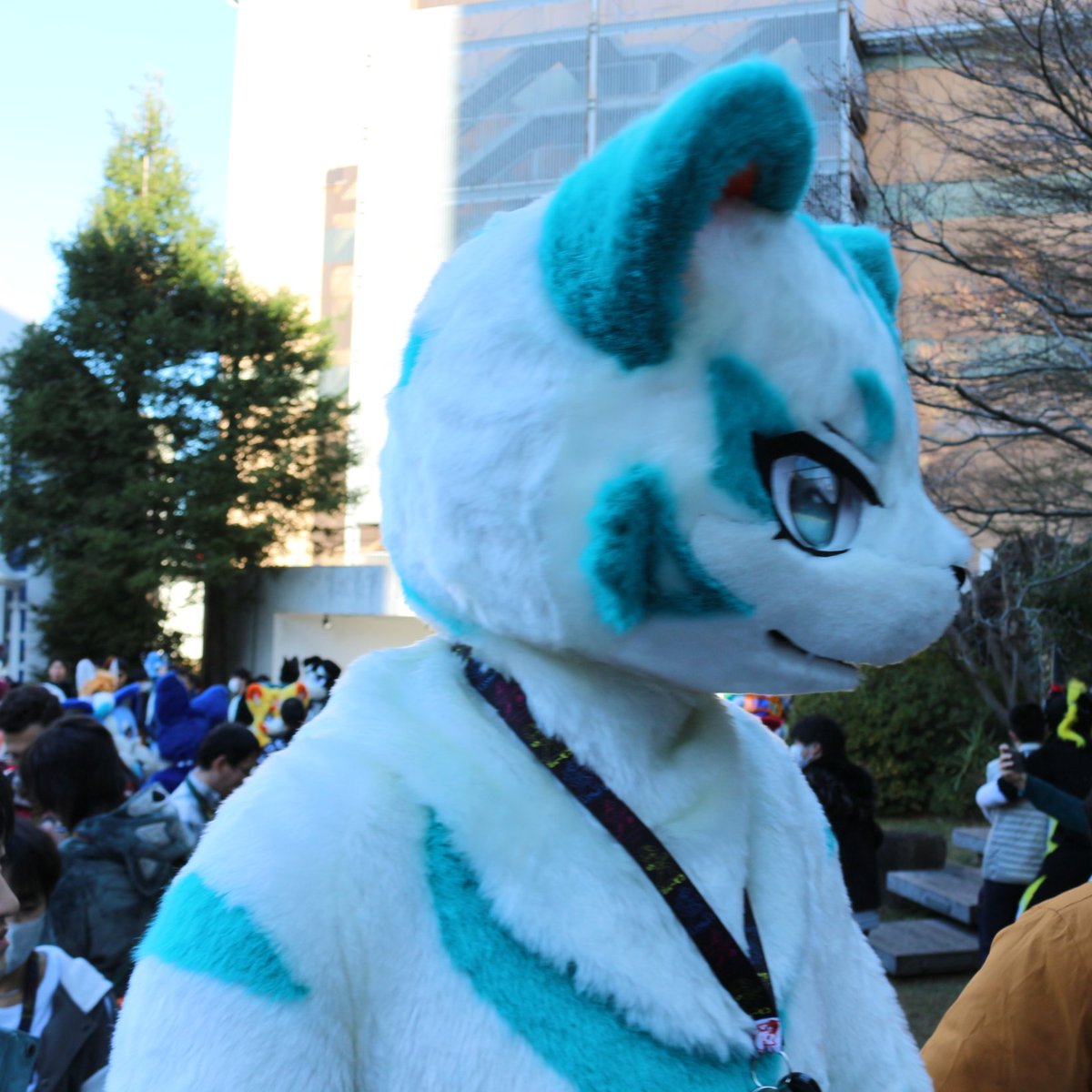 koimei2's tweet photo. @KrupppFamily #JMoF2025 https://t.co/fJVeQrSV5F