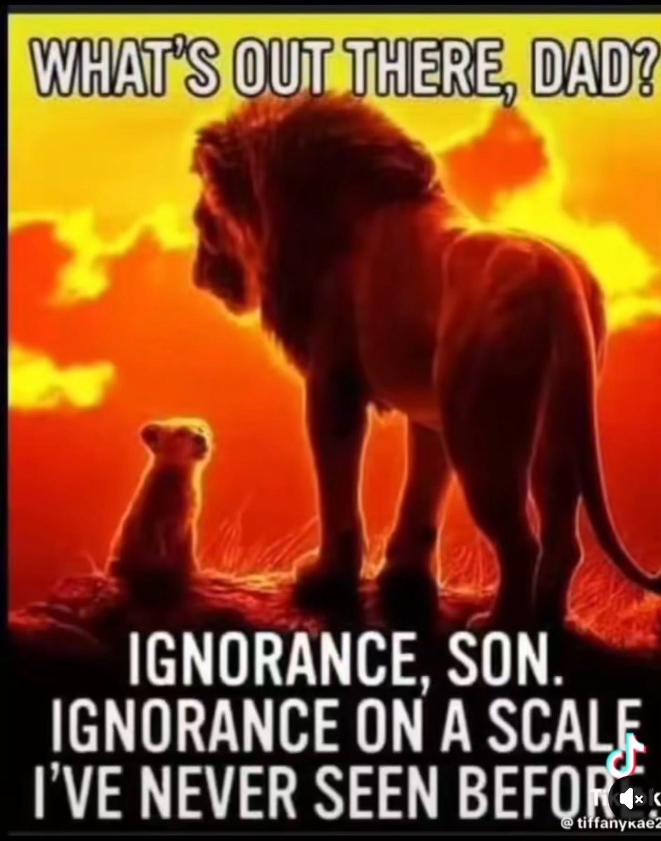 <a href="/LeaderJohnThune/">Leader John Thune</a>