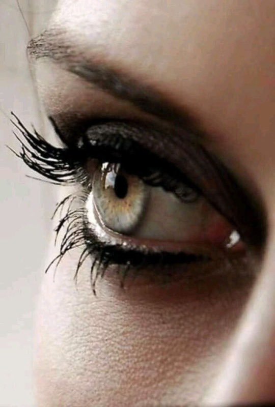 Main_Entrance 🔞 tweet media