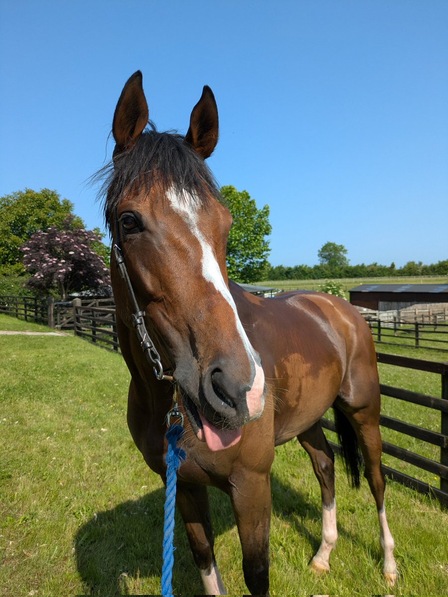 Looking forward to a great day Racing <a href="/NewcastleRaces/">Newcastle Racecourse</a> - with one of the smartest &amp; funniest guys to work with...#HeyCrackers! 
This is one of those u really want to get involved with...
Get in touch &amp; see where our journey can take u! 📞🏇🥂👌
Good luck to all connections!🏇🤞🥂