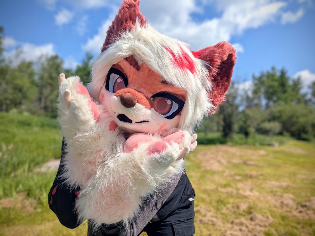 CloudedCheese's tweet photo. Hope everyone is staying cool during this heat wave! 

🧵: Copper777 https://t.co/5CwdKAI1Mw