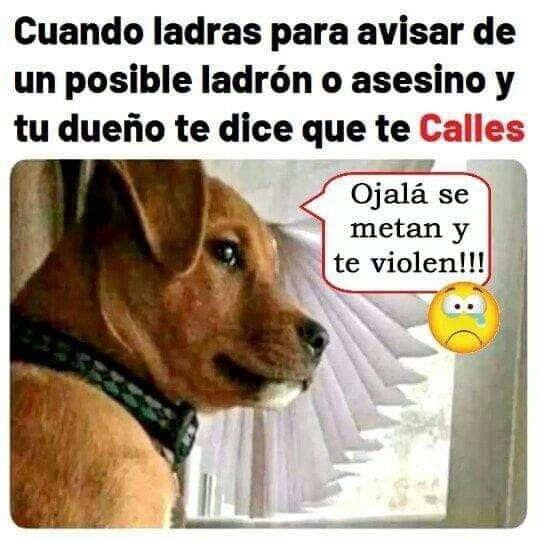 🤭🤣😂🤣😆