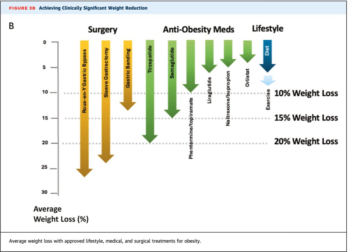 Diego Segura-Rodríguez (@seguracardio) on Twitter photo 📌2025 An <a href="/ACCinTouch/">American College of Cardiology</a> Expert Consensus 📝 on Medical Weight Management for Optimization of Cardiovascular Health
#Obesity #PositionPaper #Semaglutide #Tirzepatide 📌2025 An <a href="/ACCinTouch/">American College of Cardiology</a> Expert Consensus 📝 on Medical Weight Management for Optimization of Cardiovascular Health
#Obesity #PositionPaper #Semaglutide #Tirzepatide