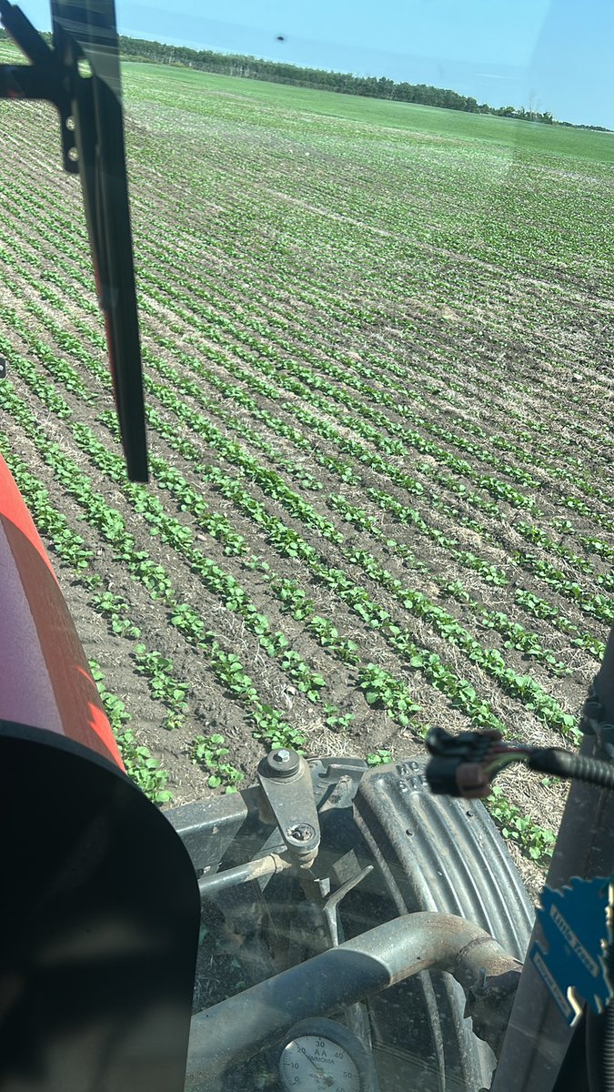 Dennis Clarke tweet media