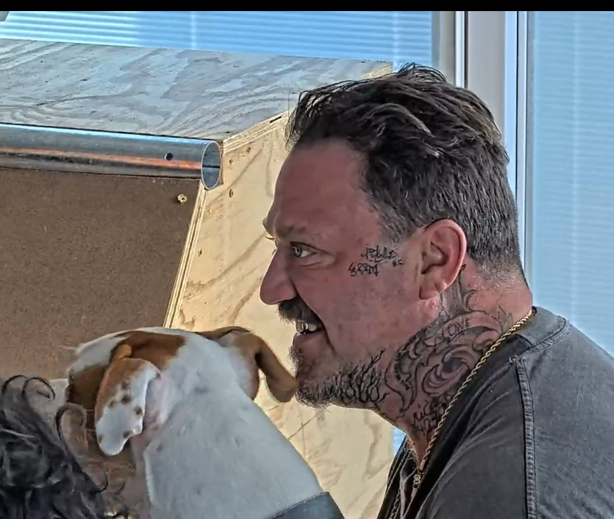 miyaspokeofthis's tweet photo. Bam excitedly watching all the crazy shit going down in the tank
@BAM__MARGERA 
#fishtanklive #fishtankdotlive #fishtankislive https://t.co/qynz4dM0on