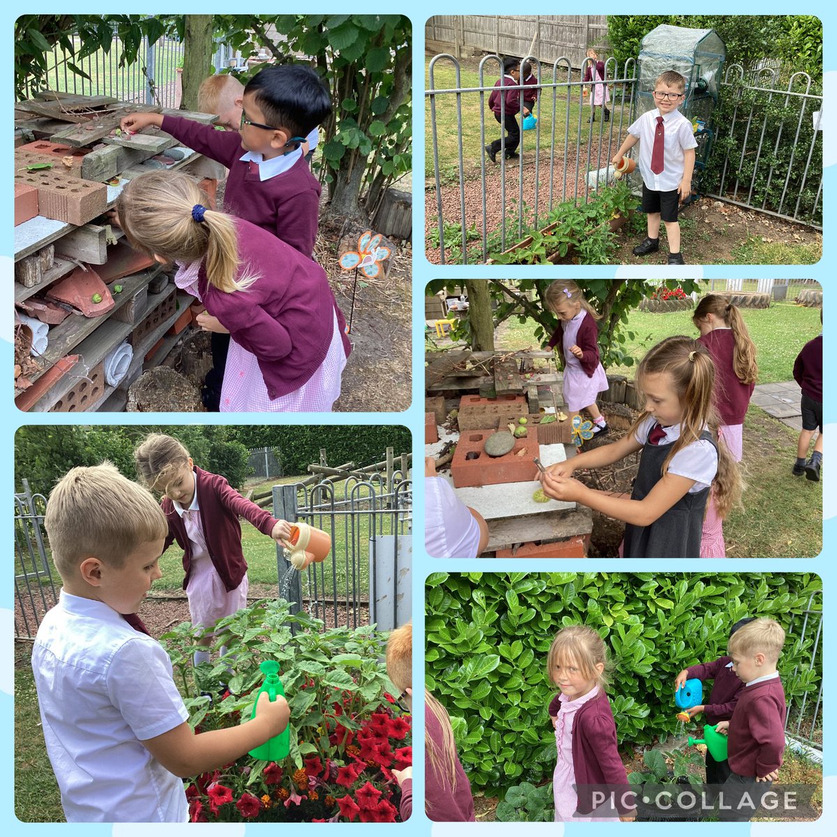 For pledge day in the Jubilee Year EYFS promised to look after our school garden. #pilgrimsofhope