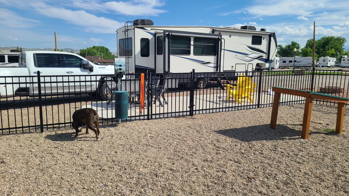 Casey Carter tweet media