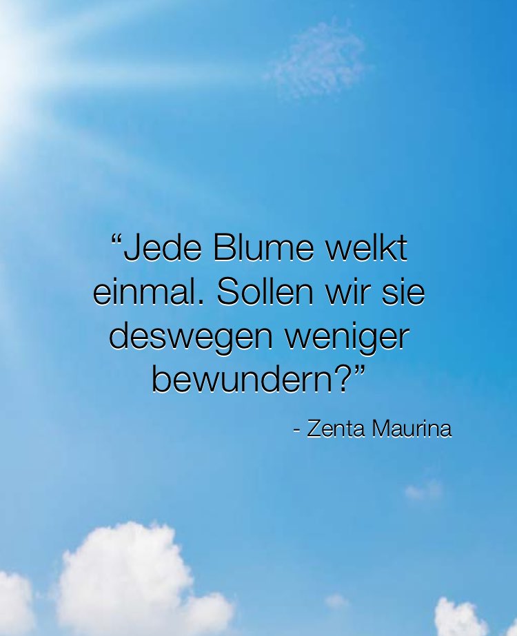 Zitat des Tages!🌿✨