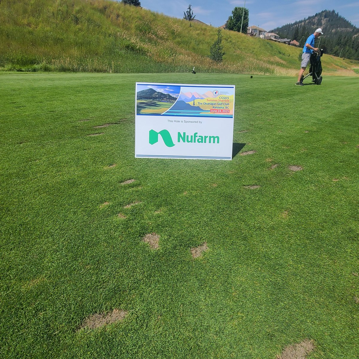 GolfSupers's tweet image. Thank you to @NufarmCA for your support of the Shamble. #summershamble25