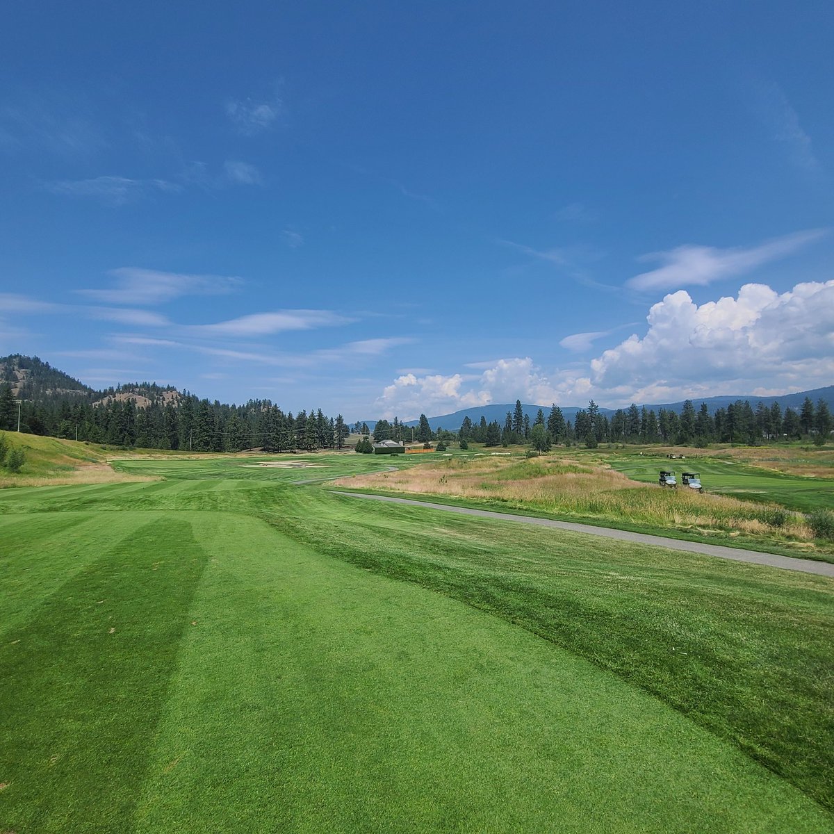 GolfSupers's tweet image. Thank you to @NufarmCA for your support of the Shamble. #summershamble25