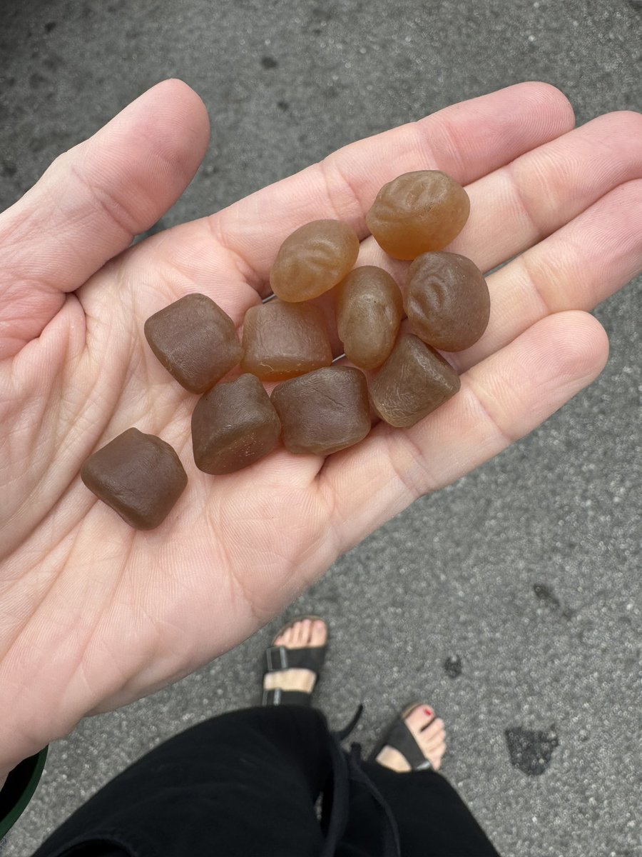 Kath Korevec tweet media