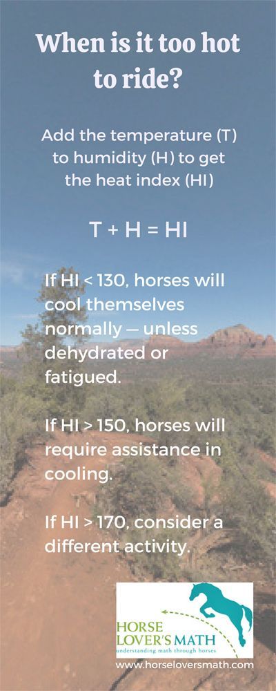 Extreme heat warnings have been issued for parts of Canada and the U.S. How are horses affected by this heat and when is it too hot to ride? #horses #equestrian #horseriding #heatwarning #heatwave #horsemath