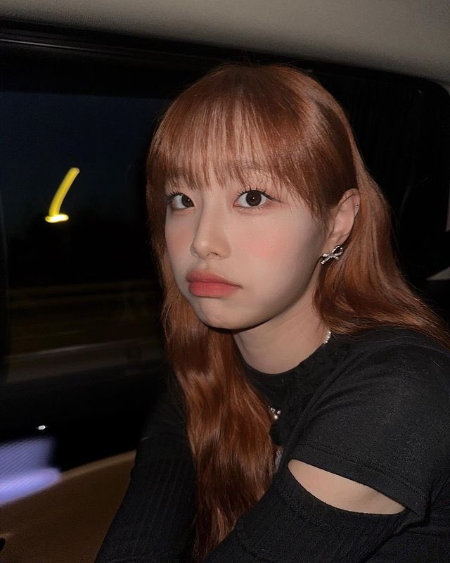 𝐫𝕖nné'𝐬 ♡諸 𝖍öw𝕝 ! tweet media