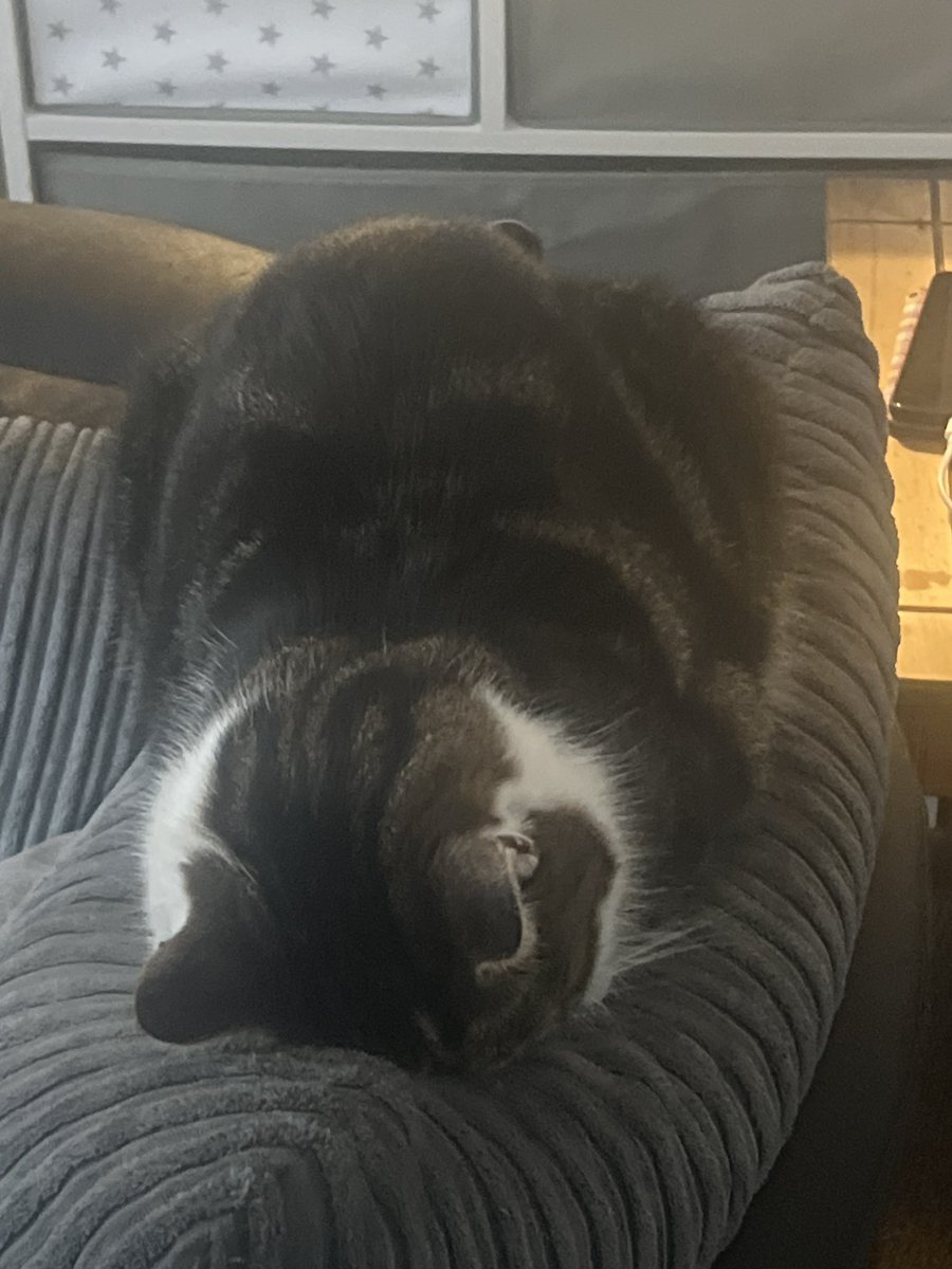 FZR Australia
Q: P3
R: P3

Boring race ran out of fuel