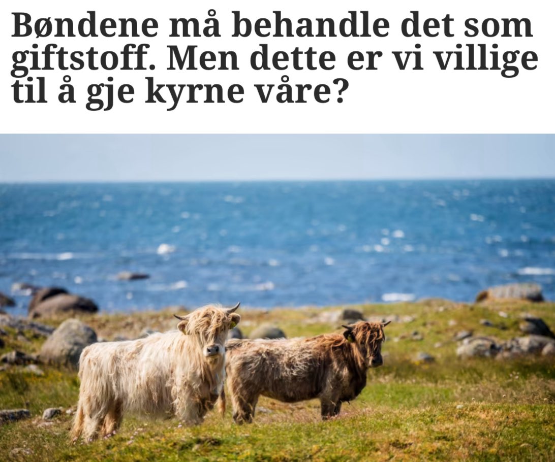 En fin tekst av Inger i Fædrelandsvennen: "Vedtaket i Stortinget er gjort, og skal iverksetjast frå 2027. Håper inderleg at vi, etter valet, får politikarar som har vet nok, og mot nok til å gjere om på vedtaket."