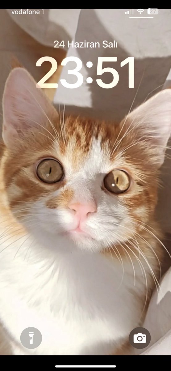 Minnoş Oğlan tweet media