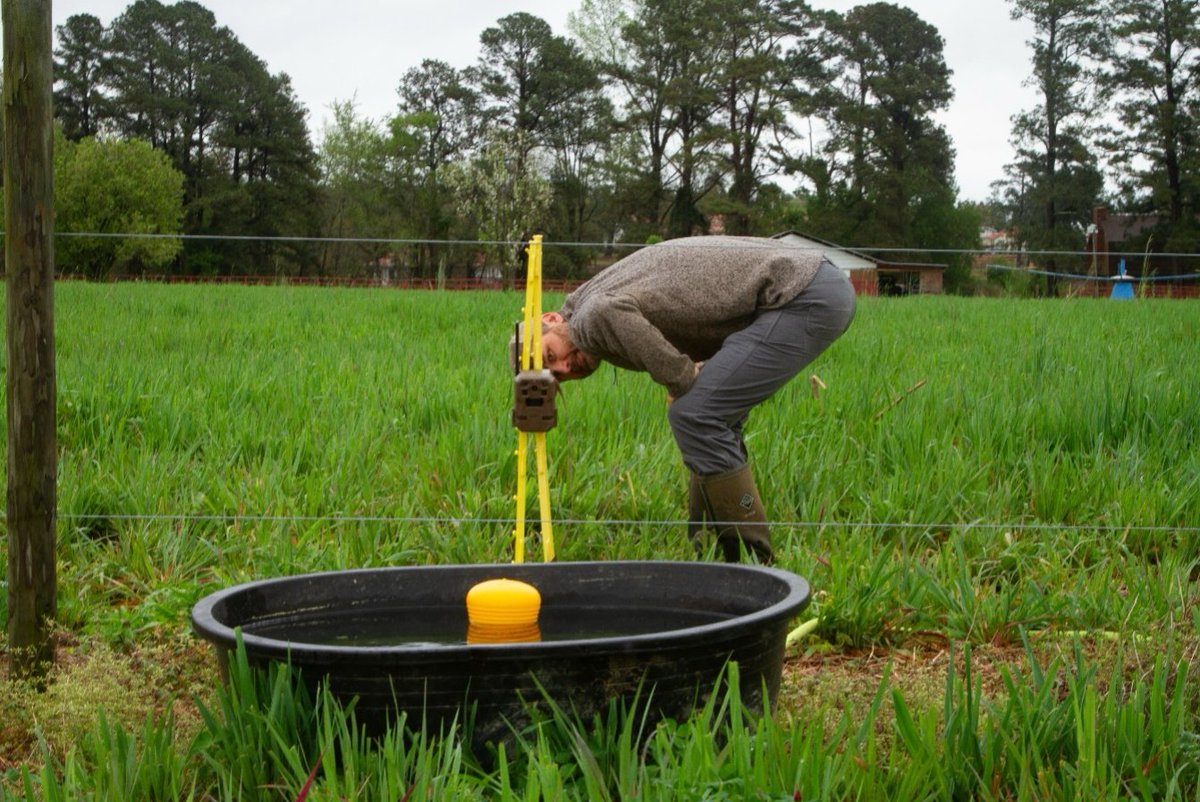 SoilHealthLabs's tweet image. 🐂 One field is challenging decades of ag tradition.

In Eastover, SC, a row cropper + cattleman teamed up—proving that grazing cover crops can cut costs, build soil, and boost efficiency.

It’s regenerative ag in action.

👉 Learn more: soilhealthlabs.com/post/an-outsid…