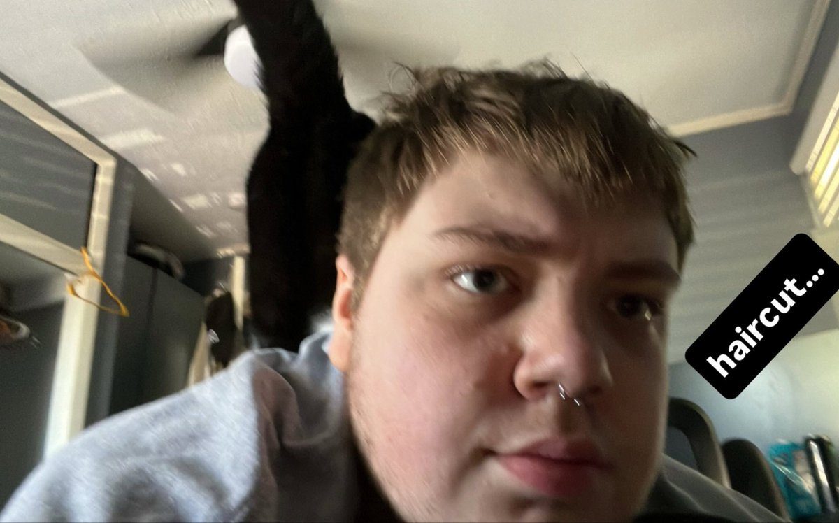 digitalsperm's tweet image. haircut and cat butt
