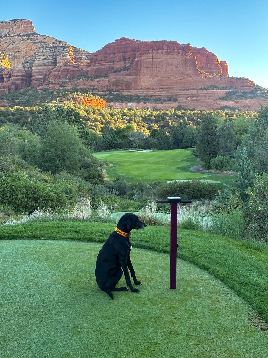 Em Casey tweet media