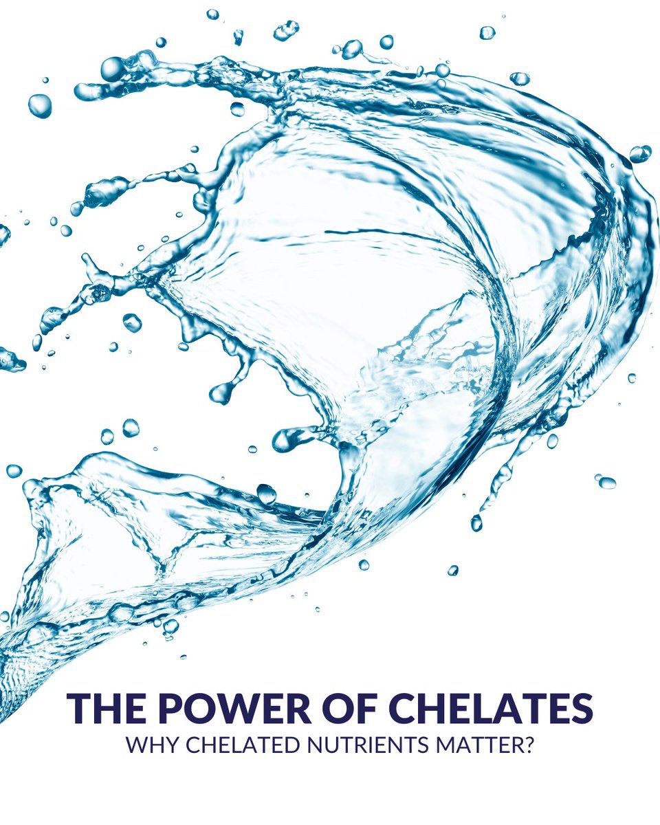 Chelates keep essential micronutrients like iron, zinc, copper, and manganese stable and available—even in challenging conditions. That means better nutrient uptake, fewer deficiencies, and stronger, more productive plants.

plantprod.com/news/unlocking…