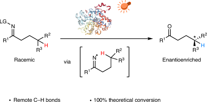 Photoenzymatic stereoablative enantioconvergence of γ-chiral oximes via hydrogen atom transfer bit.ly/4lfCn3A
