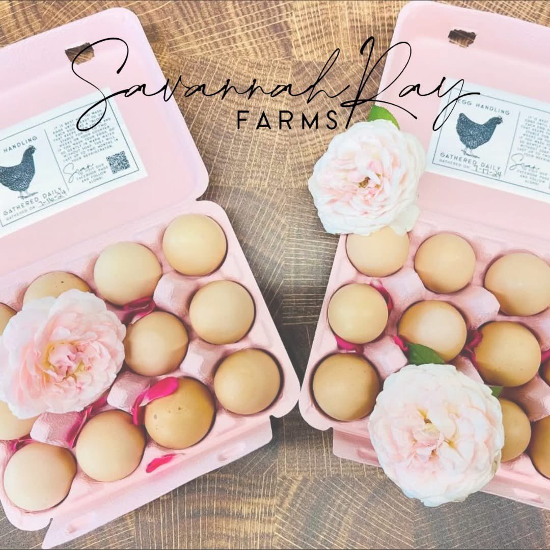 AXIOMDigitalPro's tweet image. Proud to have partnered with Savannah Ray Farms since February, leading their social media with strategy and intention.

Now managing 1894 Baxter Ranch as well, another standout Texas brand joining the AXIOM roster.

Strong brands deserve sharp strategy. That’s what we deliver.…