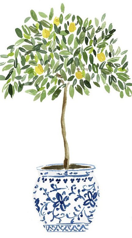 I wonder how, I wonder why.. Yesterday, you told me about the blue sky, and all that I can see is just a yellow lemon tree..