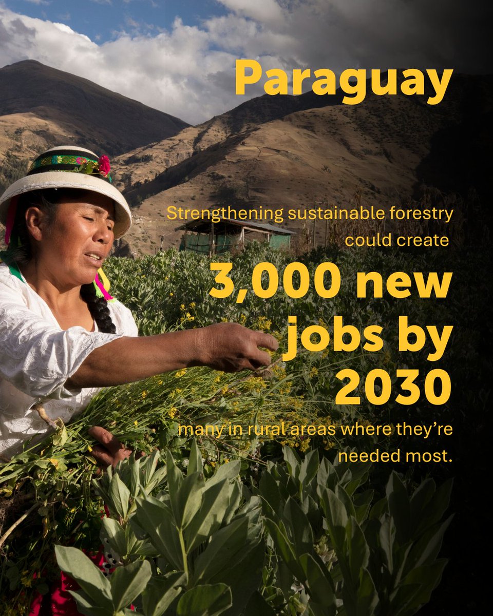 WBG_Education's tweet image. There’s a new @WorldBank Group approach to help countries attract private sector investment in the near term—through concrete policy actions in high-potential sectors that create jobs. Read the latest Country Private Sector Diagnostics:  wrld.bg/bUI950WcAAJ #CPSD