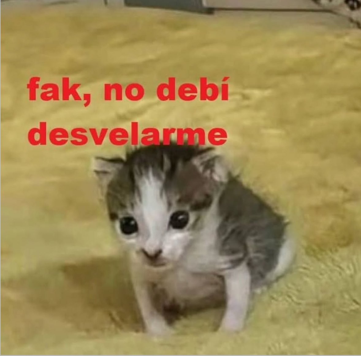memes feos yo qué sé (@memefeos) on Twitter photo 