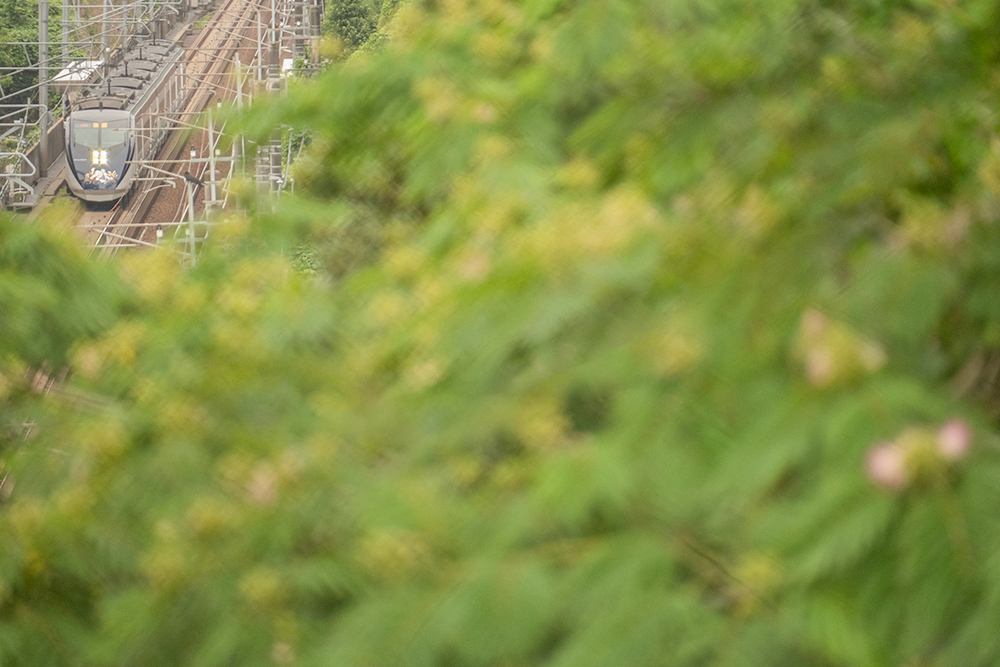 6月24日（火曜日）
⇒ ameblo.jp/seiya-nakai/en… #アメブロ <a href="/ameba_official/">Ameba Topics</a>より