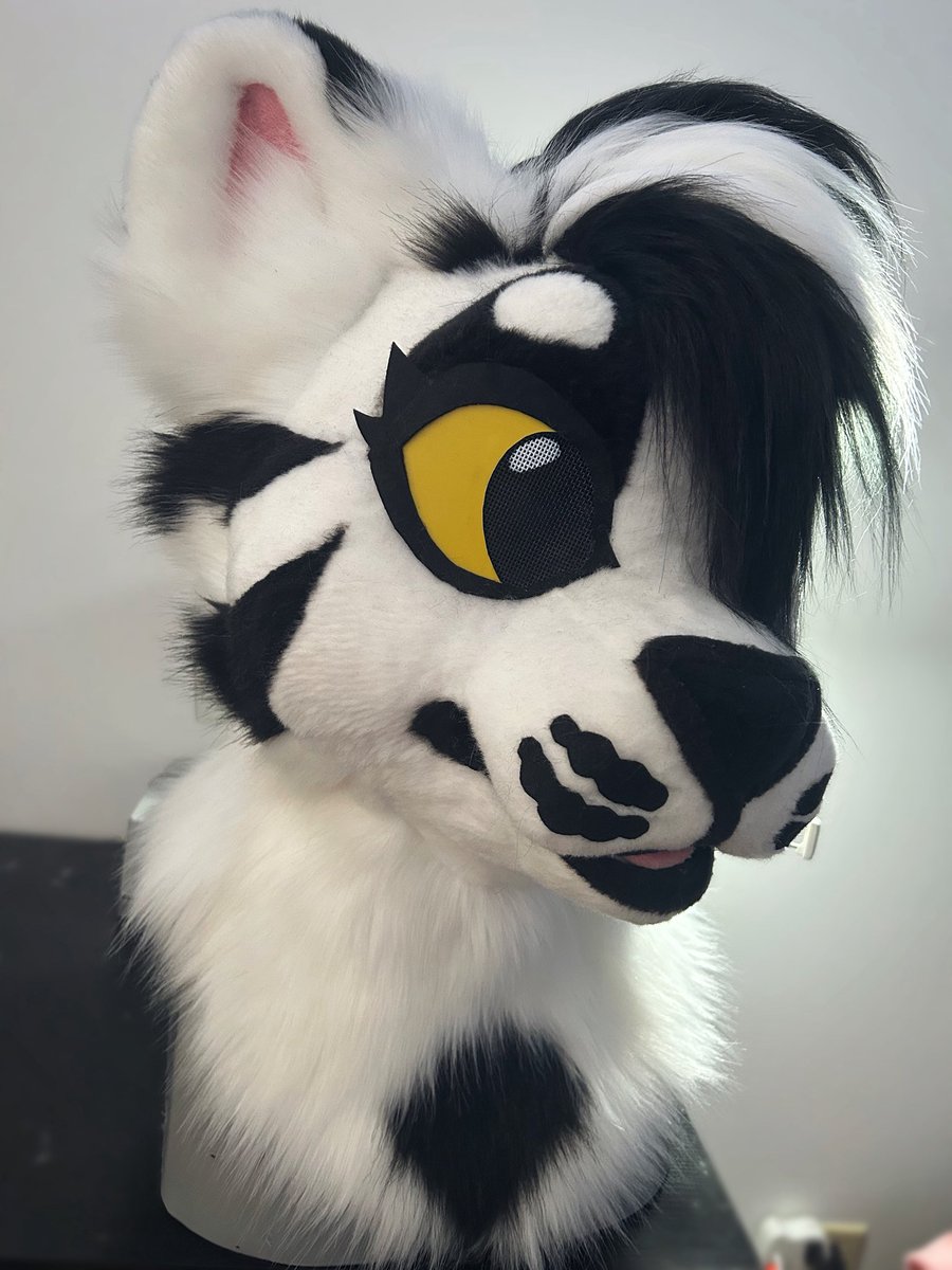 BDinodog's tweet image. I am offering a low priced custom fursuit head for 1k or 1.2k for mini partial, flat priced if paid all upfront with a 1 month turnaround. Since I have 0 queue you would be the only suit I would be working on.
(Complexity may affect pricing.)