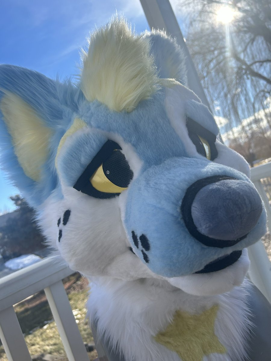 BDinodog's tweet image. I am offering a low priced custom fursuit head for 1k or 1.2k for mini partial, flat priced if paid all upfront with a 1 month turnaround. Since I have 0 queue you would be the only suit I would be working on.
(Complexity may affect pricing.)
