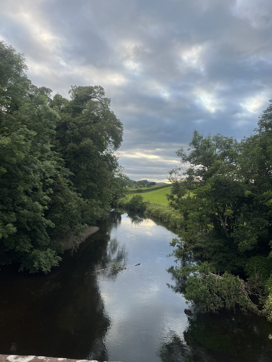 Much cooler for a walk tonight 

Cute wee mushrooms, and look at ‘my’ view at midsummer compared to 31 March…

#Dumfries 
#Newbridge