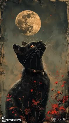 ternuras (@i_misha_i) on Twitter photo 