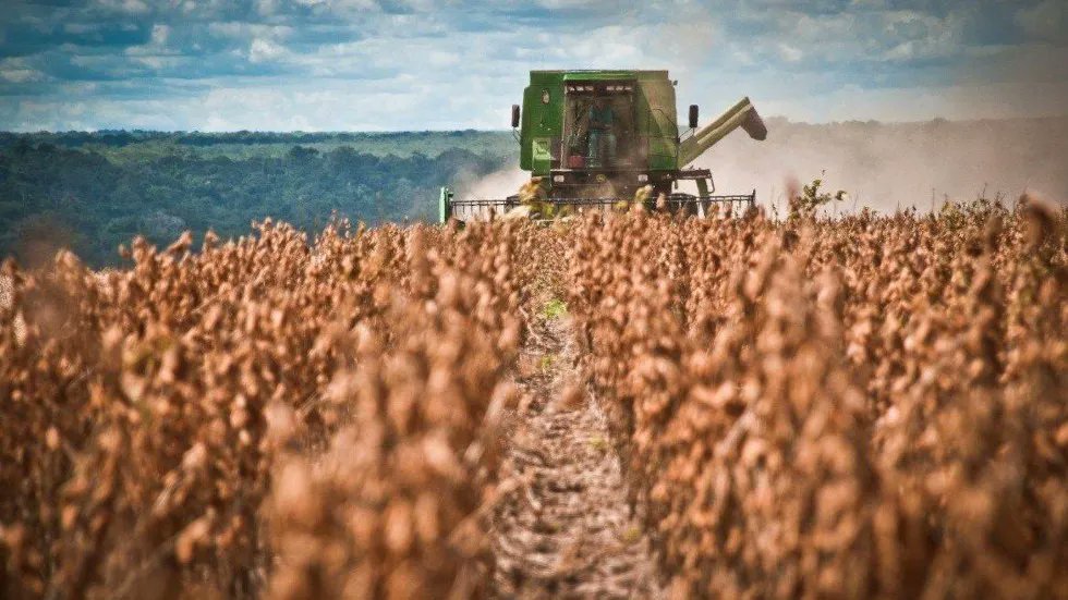 El 30 de junio finaliza la reducción temporal de los Derechos de exportación, dispuesta por el Gobierno. 
CARTEZ emitió un comunicado al respecto, que compartimos a continuación:

campodirecto.com.ar/cartez-se-expr…

#retenciones #campo  #agricultura #agrot