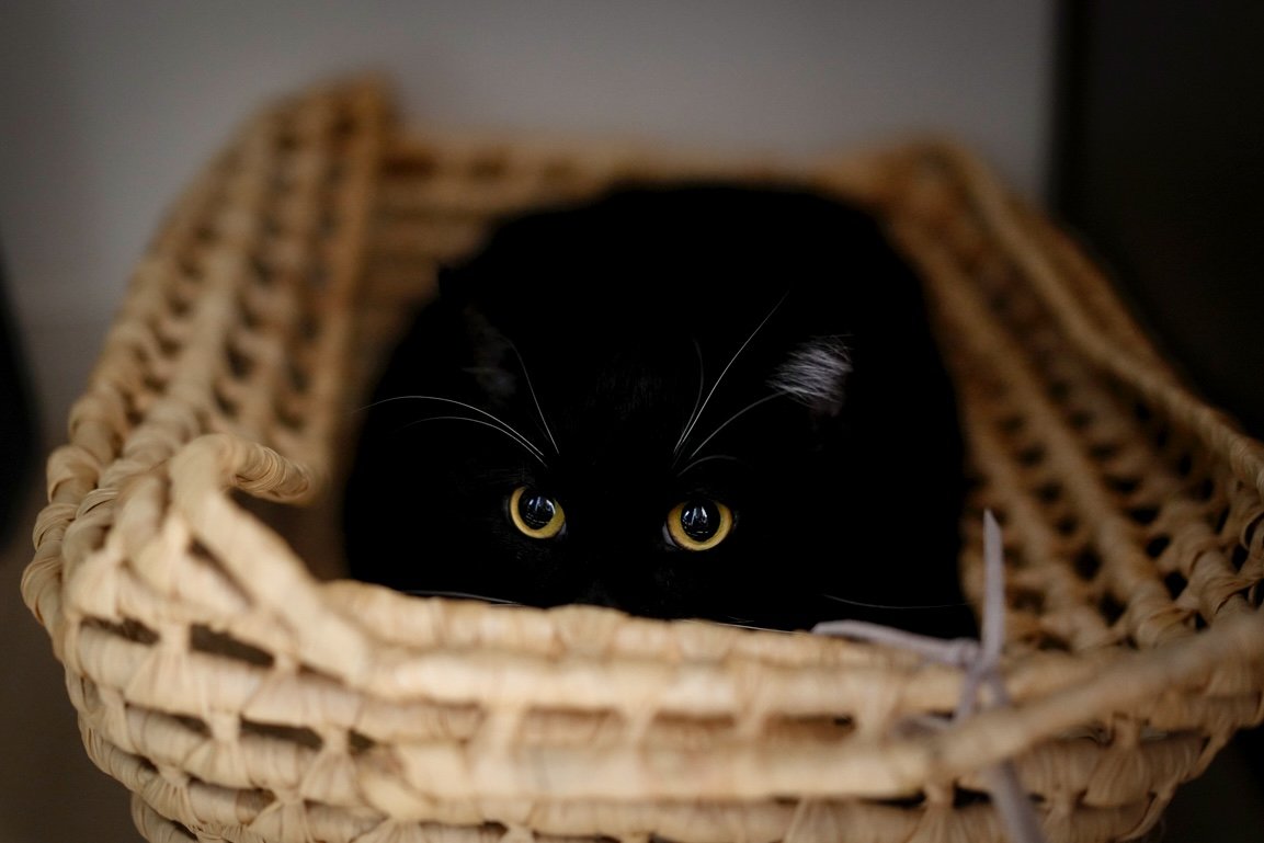 You think you're hidden?