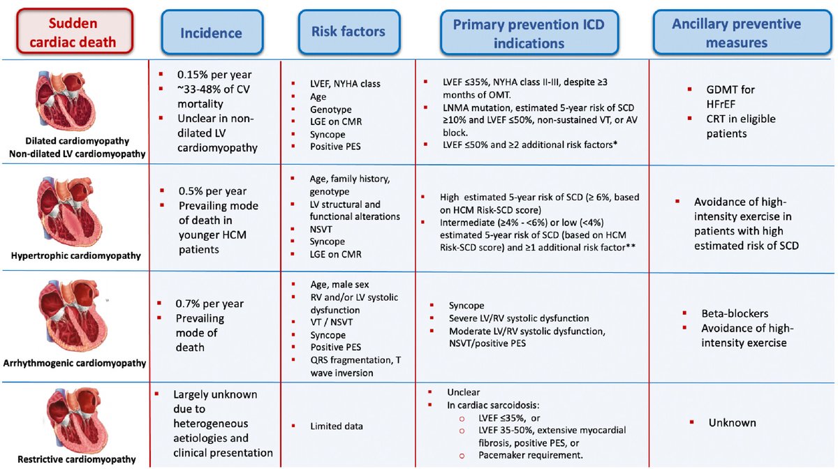 Muerte súbita en miocardiopatías. La importancia de identificar el problema del paciente y su pronóstico...